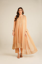 3 Piece Chiffon Embroidered Suit (FL0034)